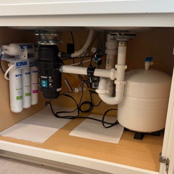 Under-sink water filter and garbage disposal